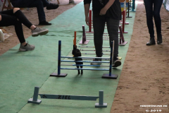 Rassekaninchenschau-RKZV-I52-Norden-Siemers-Leybuchtpolder-11.8.2019-25
