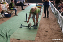 Rassekaninchenschau-RKZV-I52-Norden-Siemers-Leybuchtpolder-11.8.2019-27