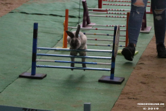 Rassekaninchenschau-RKZV-I52-Norden-Siemers-Leybuchtpolder-11.8.2019-33