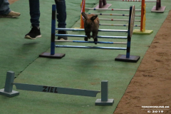 Rassekaninchenschau-RKZV-I52-Norden-Siemers-Leybuchtpolder-11.8.2019-34