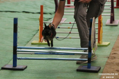 Rassekaninchenschau-RKZV-I52-Norden-Siemers-Leybuchtpolder-11.8.2019-35
