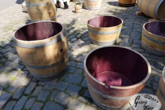 Rosenmarkt_2017_22