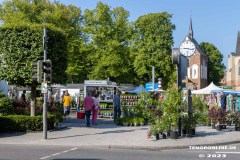 Rosenmarkt-Stadt-Norden-Ostfriesland-11.6.2023-1