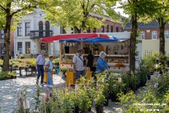 Rosenmarkt-Stadt-Norden-Ostfriesland-11.6.2023-12