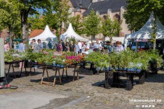Rosenmarkt-Stadt-Norden-Ostfriesland-11.6.2023-32