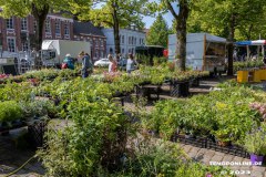 Rosenmarkt-Stadt-Norden-Ostfriesland-11.6.2023-48