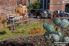 Rosenmarkt-Stadt-Norden-Ostfriesland-11.6.2023-51