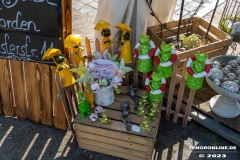 Rosenmarkt-Stadt-Norden-Ostfriesland-11.6.2023-54