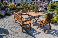 Rosenmarkt-Stadt-Norden-Ostfriesland-11.6.2023-57