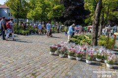Rosenmarkt-Stadt-Norden-Ostfriesland-11.6.2023-65