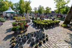 Rosenmarkt-Stadt-Norden-Ostfriesland-Ultraweitwinkel-11.6.2023-11