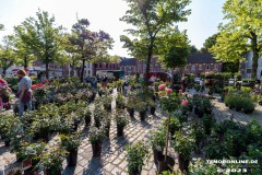 Rosenmarkt-Stadt-Norden-Ostfriesland-Ultraweitwinkel-11.6.2023-13