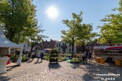 Rosenmarkt-Stadt-Norden-Ostfriesland-Ultraweitwinkel-11.6.2023-15