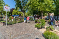 Rosenmarkt-Stadt-Norden-Ostfriesland-Ultraweitwinkel-11.6.2023-16