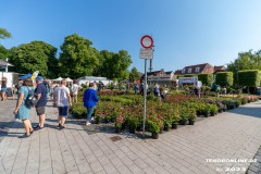 Rosenmarkt-Stadt-Norden-Ostfriesland-Ultraweitwinkel-11.6.2023-17