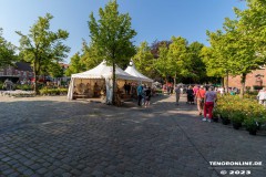 Rosenmarkt-Stadt-Norden-Ostfriesland-Ultraweitwinkel-11.6.2023-2