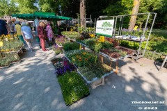 Rosenmarkt-Stadt-Norden-Ostfriesland-Ultraweitwinkel-11.6.2023-20