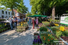 Rosenmarkt-Stadt-Norden-Ostfriesland-Ultraweitwinkel-11.6.2023-21