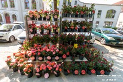 Rosenmarkt-Stadt-Norden-Ostfriesland-Ultraweitwinkel-11.6.2023-22