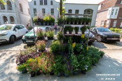 Rosenmarkt-Stadt-Norden-Ostfriesland-Ultraweitwinkel-11.6.2023-23