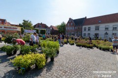 Rosenmarkt-Stadt-Norden-Ostfriesland-Ultraweitwinkel-11.6.2023-35