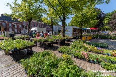 Rosenmarkt-Stadt-Norden-Ostfriesland-Ultraweitwinkel-11.6.2023-36
