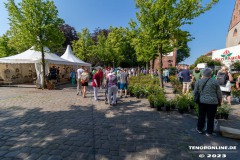 Rosenmarkt-Stadt-Norden-Ostfriesland-Ultraweitwinkel-11.6.2023-39