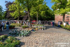 Rosenmarkt-Stadt-Norden-Ostfriesland-Ultraweitwinkel-11.6.2023-4