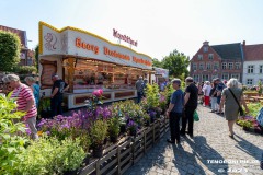 Rosenmarkt-Stadt-Norden-Ostfriesland-Ultraweitwinkel-11.6.2023-41