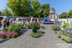 Rosenmarkt-Stadt-Norden-Ostfriesland-Ultraweitwinkel-11.6.2023-42