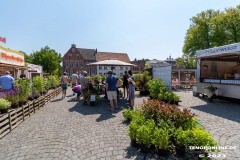 Rosenmarkt-Stadt-Norden-Ostfriesland-Ultraweitwinkel-11.6.2023-43