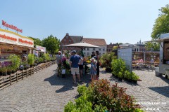 Rosenmarkt-Stadt-Norden-Ostfriesland-Ultraweitwinkel-11.6.2023-44