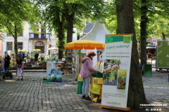 Die-Torf-Frau-Rosenmarkt-Norden-Marktplatz-16.6.2019-7