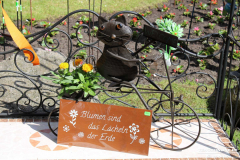 Rosenmarkt-Norden-Marktplatz-16.6.2019-10