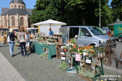 Rosenmarkt-Norden-Marktplatz-16.6.2019-2