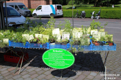 Rosenmarkt-Norden-Marktplatz-16.6.2019-47