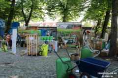 Rosenmarkt-Norden-Marktplatz-16.6.2019-49
