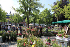 Rosenmarkt-Norden-Marktplatz-16.6.2019-50