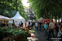 Rosenmarkt-Norden-Marktplatz-16.6.2019-52