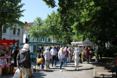 Rosenmarkt-Norden-Marktplatz-16.6.2019-54
