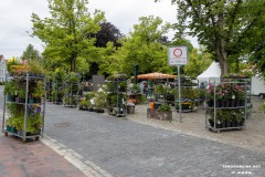 Rosenmarkt-Stadt-Norden-15.6.2025-1