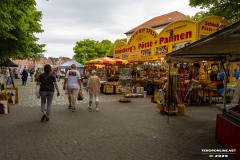 Rosenmarkt-Stadt-Norden-15.6.2025-10