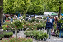 Rosenmarkt-Stadt-Norden-15.6.2025-23