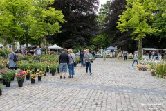 Rosenmarkt-Stadt-Norden-15.6.2025-27