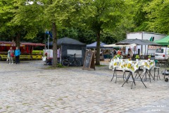 Rosenmarkt-Stadt-Norden-15.6.2025-28