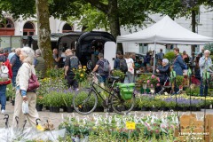 Rosenmarkt-Stadt-Norden-15.6.2025-46