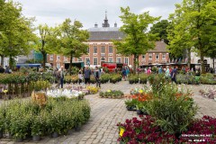 Rosenmarkt-Stadt-Norden-15.6.2025-47