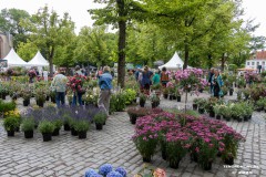 Rosenmarkt-Stadt-Norden-15.6.2025-56