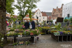 Rosenmarkt-Stadt-Norden-15.6.2025-57