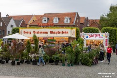 Rosenmarkt-Stadt-Norden-15.6.2025-60